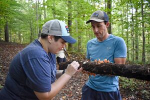 Millipede species, rarely documented in West Virginia, detected by WVU researchers as part of National Geographic project